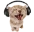 pepoJ