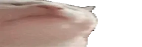 widecatJAM emote