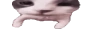 widecatKiss
