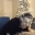 chat
