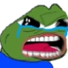 Maldge emote