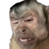 monkeHuh emote