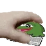 PETTHECHAT emote