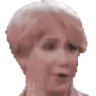 noitsTrue emote