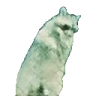 raccPls emote