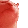 catJAMJAM emote