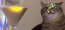 partyTime emote