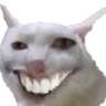 Penis emote
