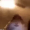 HamsterLookingSussy emote
