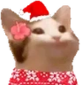 popCat emote