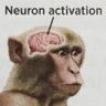 NeuronActivation emote