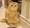 hi emote