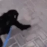 monkeHug emote