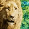 rawr emote