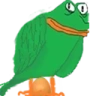 Birdeg emote