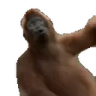 monkePls emote
