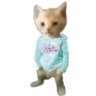 MichaelCat emote