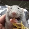Rateatinspaghethehappy emote