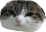 stinky