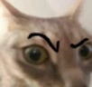 Cejota emote