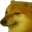 BONK