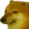 BONK emote