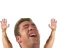 HandsUp emote