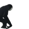 monkeyHug emote