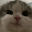 Emote