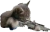 catSniper