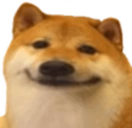 SmileDog
