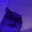 CatDespair