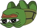 Turtle emote