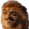 Lionsen emote