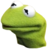 PAUSE emote