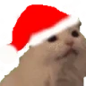MYAAA emote
