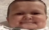 hasbullaRofl emote