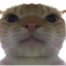 BRUH emote