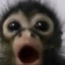PogU emote
