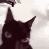insane emote