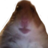 gosha emote