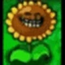 Emily emote