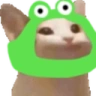 sanocks emote