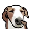 danceDOG emote