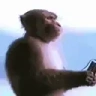Vibing emote
