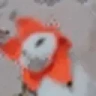 FlowerCatJAM emote