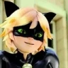 catandie emote