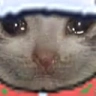 SadCat emote