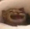 AAAAAAAAAAA emote
