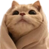 Comfy emote